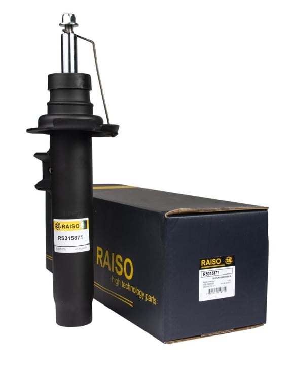Купити RAISO RS315871 за низькою ціною в Україні!