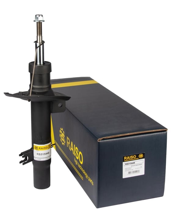 Купити RAISO RS315446 за низькою ціною в Україні!