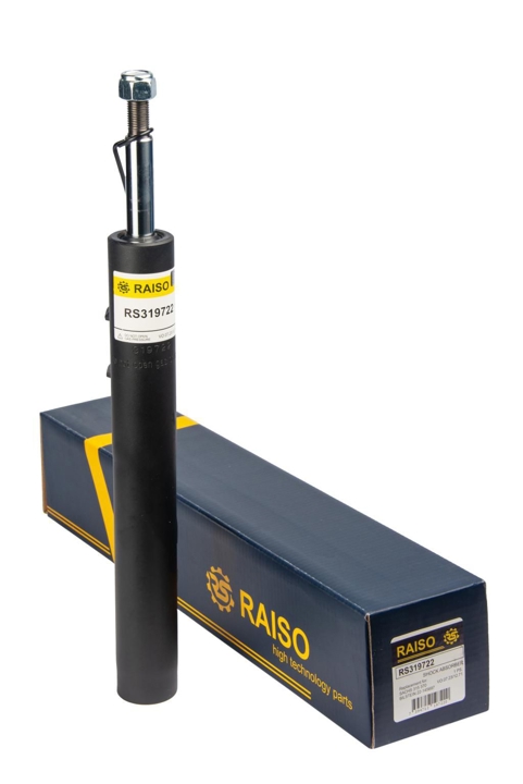 Купити RAISO RS319722 за низькою ціною в Україні!