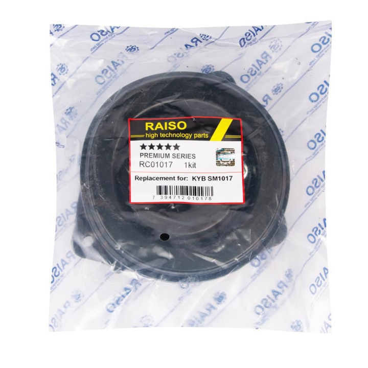 Купити RAISO RC01017 за низькою ціною в Україні!