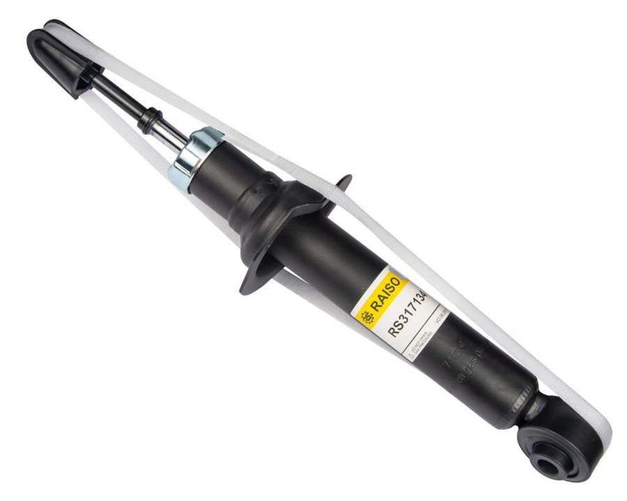 Купити RAISO RS317134 за низькою ціною в Україні!