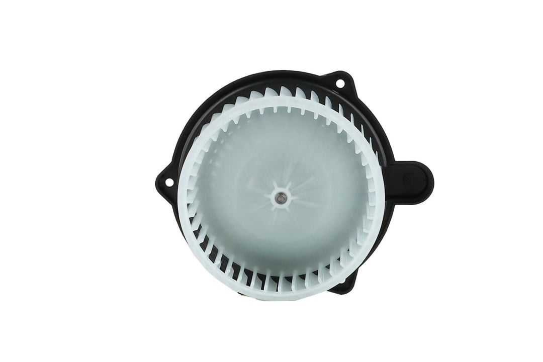 WBL01468 Walker Вентилятор пічки