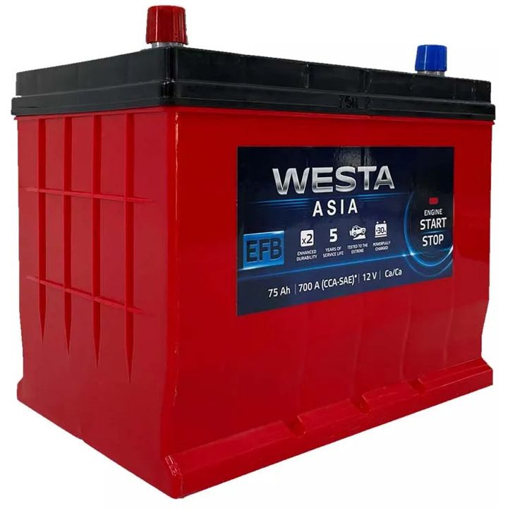 WAE751 Westa Аккумулятор WESTA EFB 6СТ 12В 75Ач (EN) L+