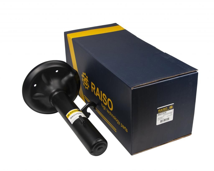 Купити RAISO RS317570 за низькою ціною в Україні!