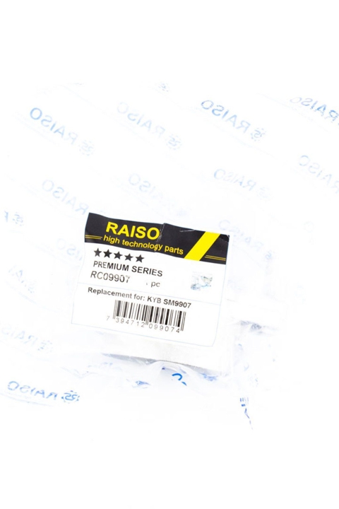 Купити RAISO RC09907 за низькою ціною в Україні!