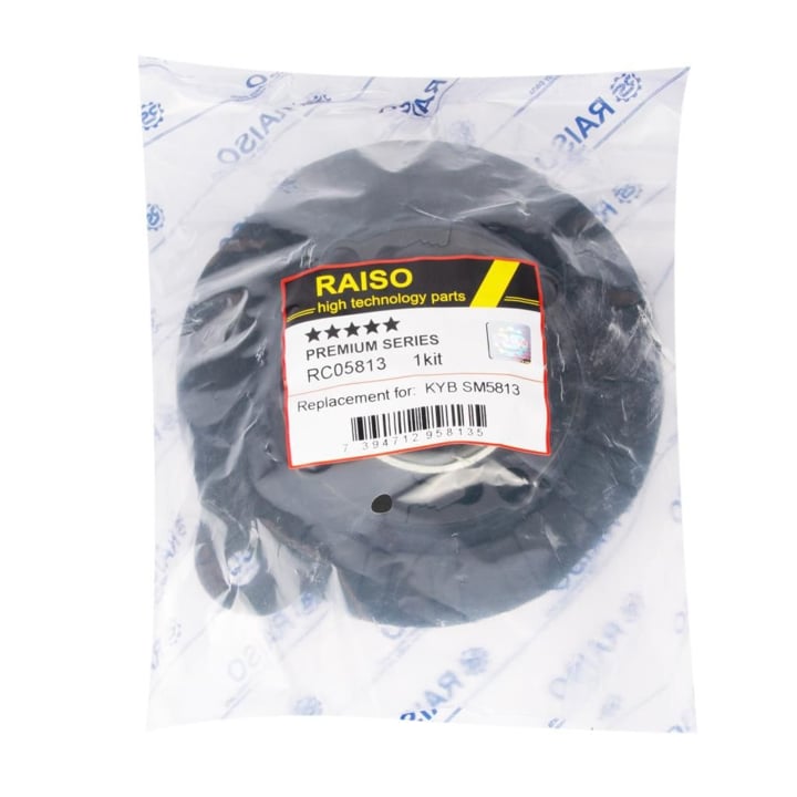 Купить RAISO RC05813 по низкой цене в Украине!