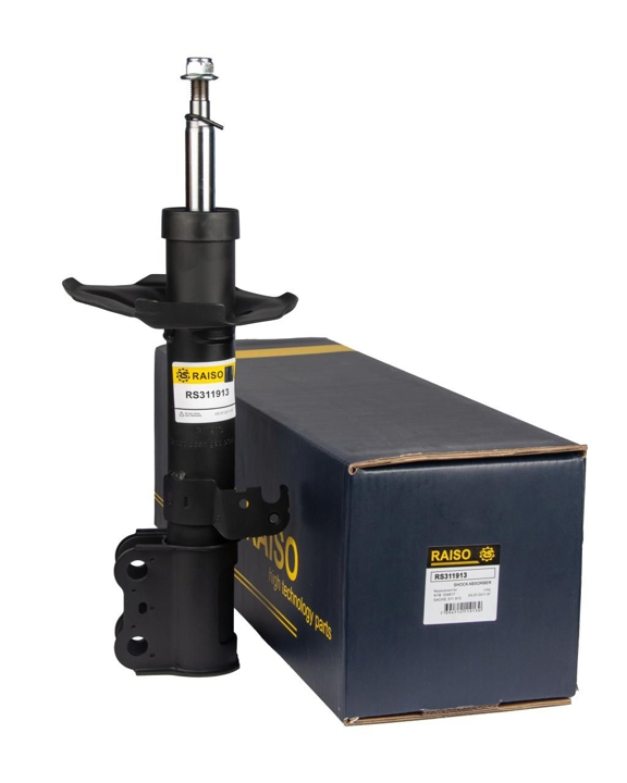 Купити RAISO RS311913 за низькою ціною в Україні!