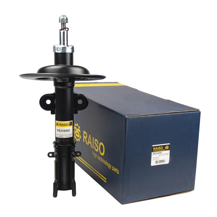 Купити RAISO RS310202 за низькою ціною в Україні!