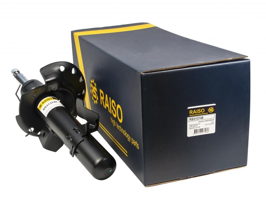 Купити RAISO RS313748 за низькою ціною в Україні!