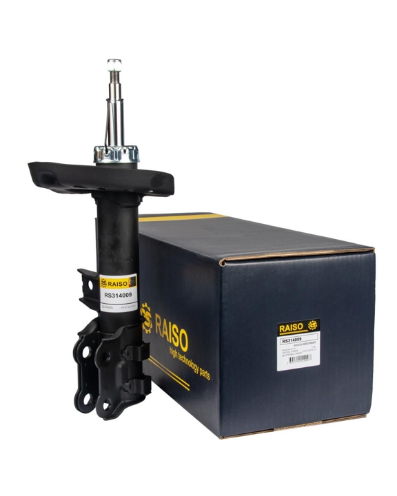 Купити RAISO RS314009 за низькою ціною в Україні!
