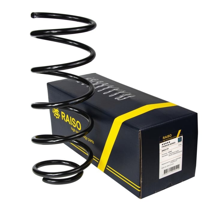 Купити RAISO SR050TP за низькою ціною в Україні!
