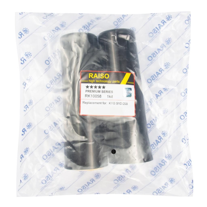 Купити RAISO RK10058 за низькою ціною в Україні!