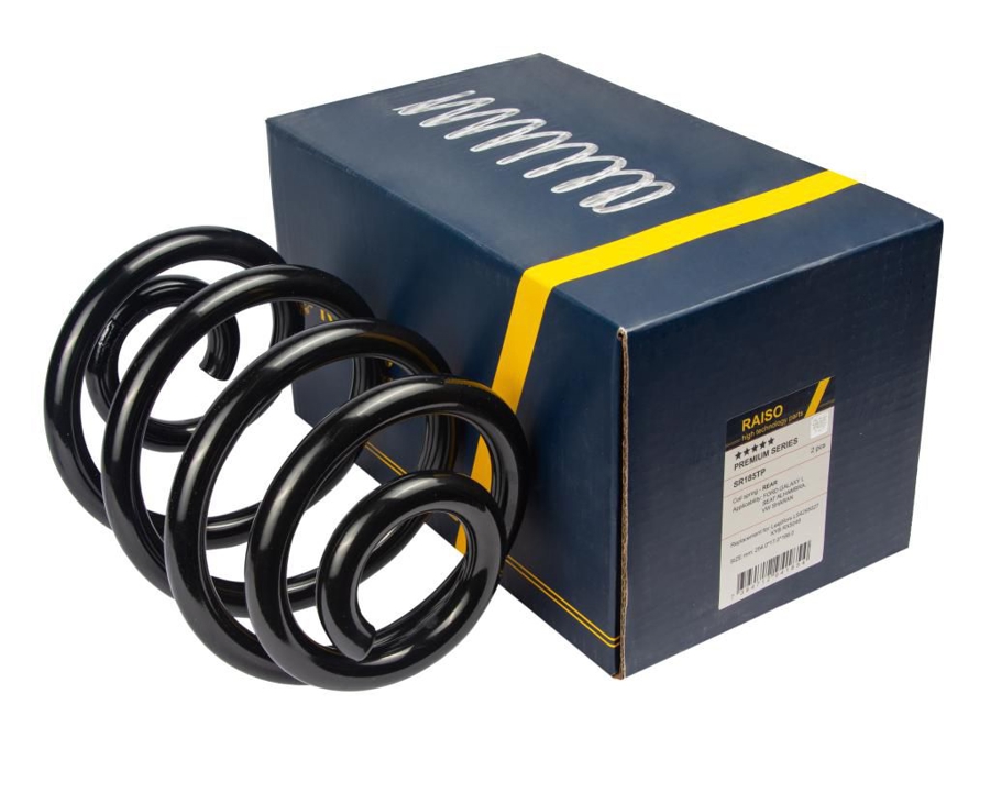 Купити RAISO SR185TP за низькою ціною в Україні!