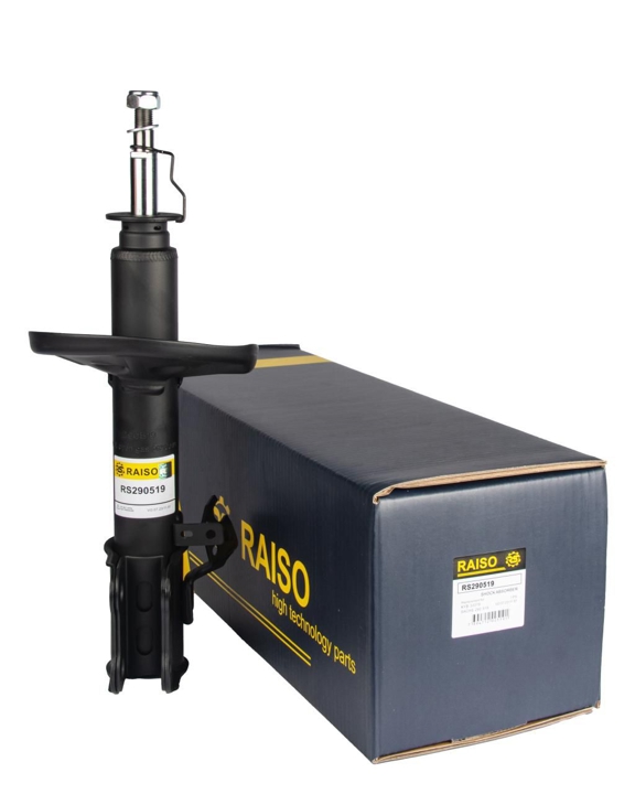 Купити RAISO RS290519 за низькою ціною в Україні!