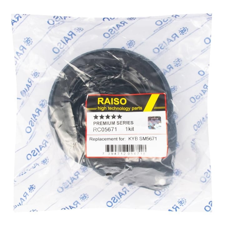 Купити RAISO RC05671 за низькою ціною в Україні!