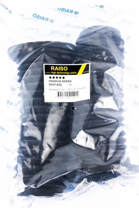 Купити RAISO RK51402 за низькою ціною в Україні!