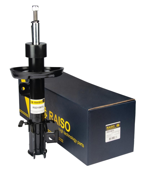 Купити RAISO RS315873 за низькою ціною в Україні!