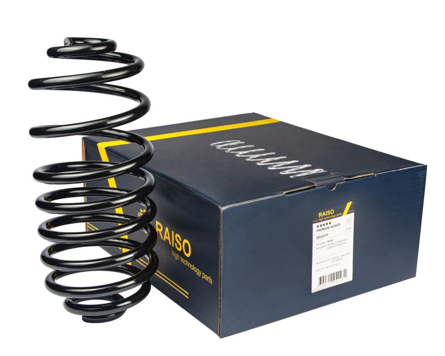 Купити RAISO SR243TP за низькою ціною в Україні!