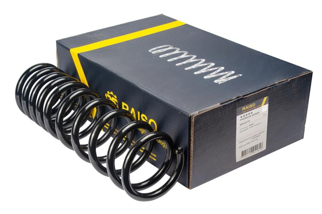 Купити RAISO SR181TP за низькою ціною в Україні!