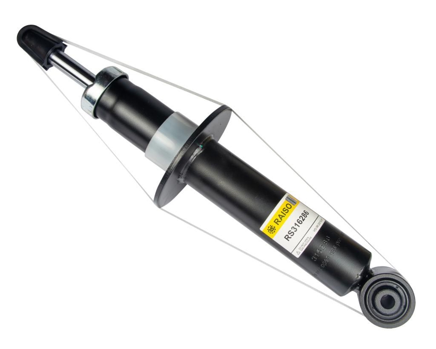 Купити RAISO RS316286 за низькою ціною в Україні!