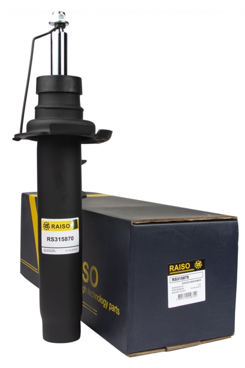 Купити RAISO RS315870 за низькою ціною в Україні!