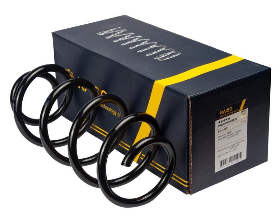 Купити RAISO SR143TP за низькою ціною в Україні!