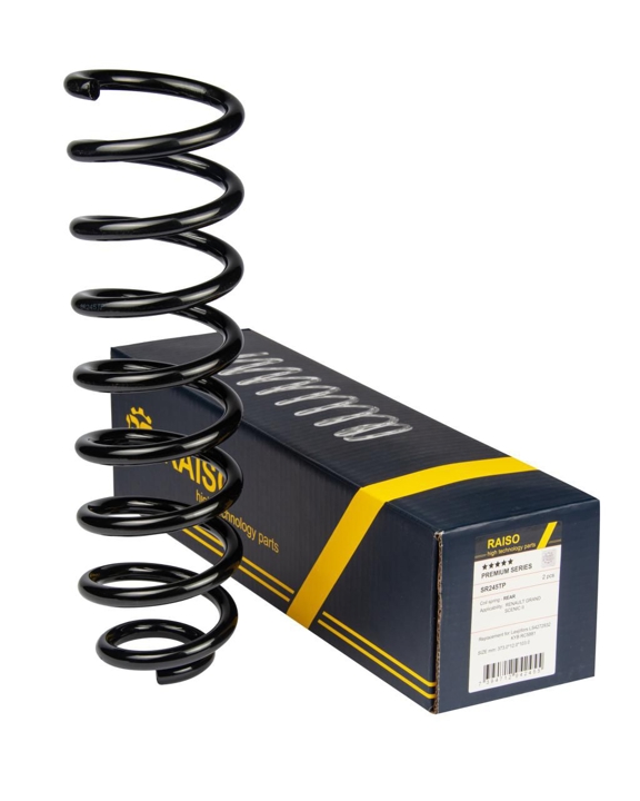 Купити RAISO SR245TP за низькою ціною в Україні!