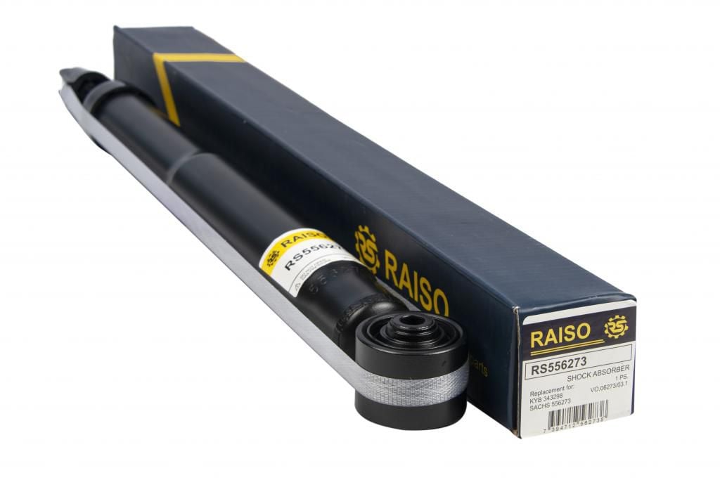 Купити RAISO RS556273 за низькою ціною в Україні!