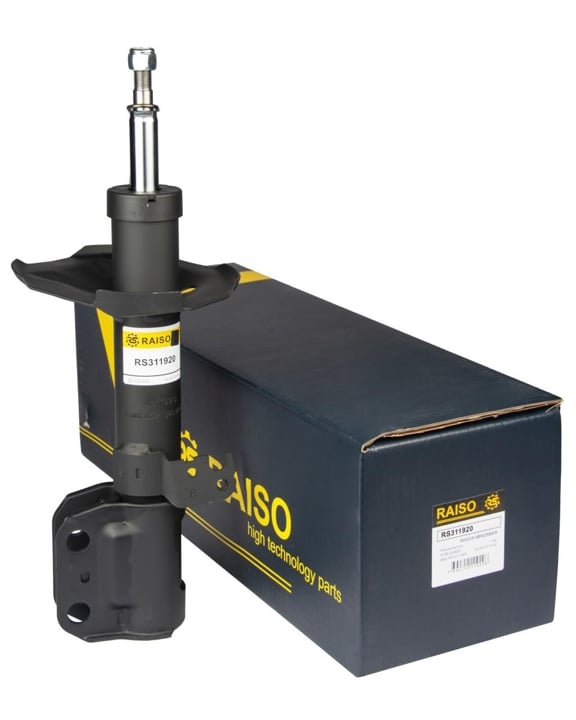 Купити RAISO RS311920 за низькою ціною в Україні!