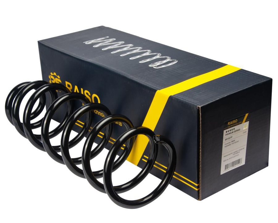 Купити RAISO SR152TP за низькою ціною в Україні!