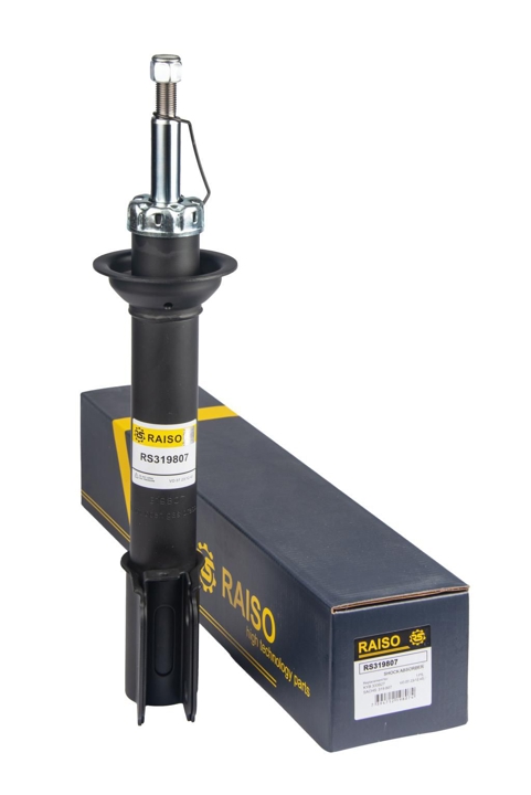 Купити RAISO RS319807 за низькою ціною в Україні!
