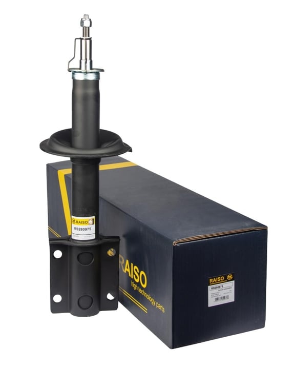 Купити RAISO RS280975 за низькою ціною в Україні!