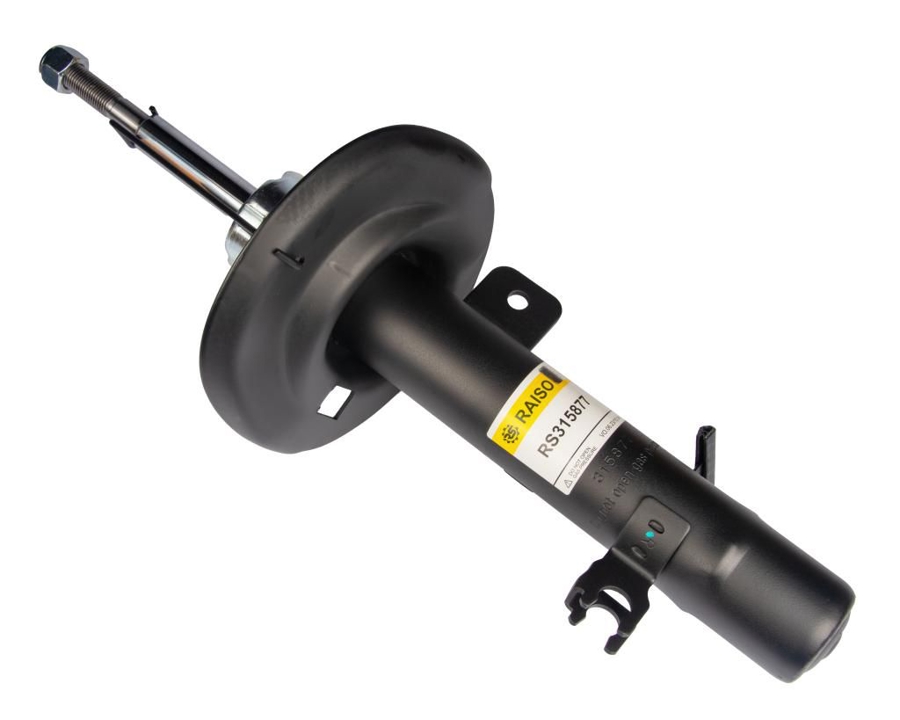 Купити RAISO RS315877 за низькою ціною в Україні!