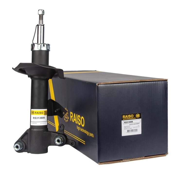 Купити RAISO RS313606 за низькою ціною в Україні!