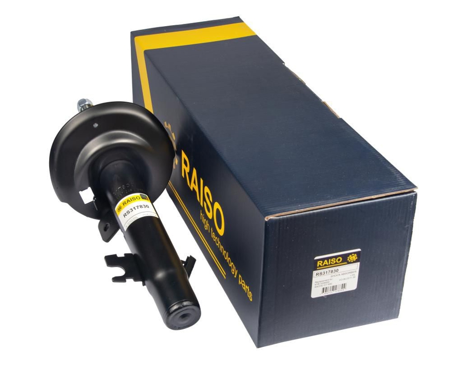 Купити RAISO RS317830 за низькою ціною в Україні!