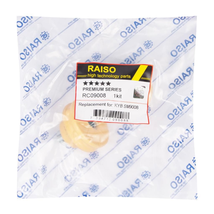 Купить RAISO RC09008 по низкой цене в Украине!