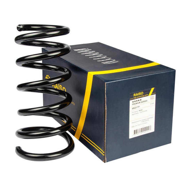 Купити RAISO SR221TP за низькою ціною в Україні!