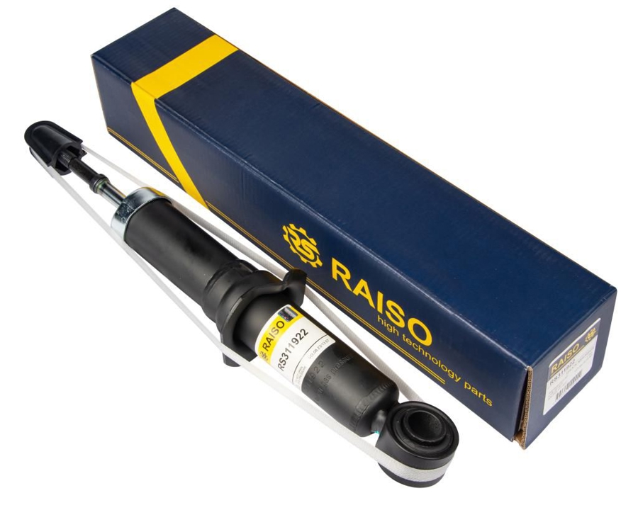 Купити RAISO RS311922 за низькою ціною в Україні!