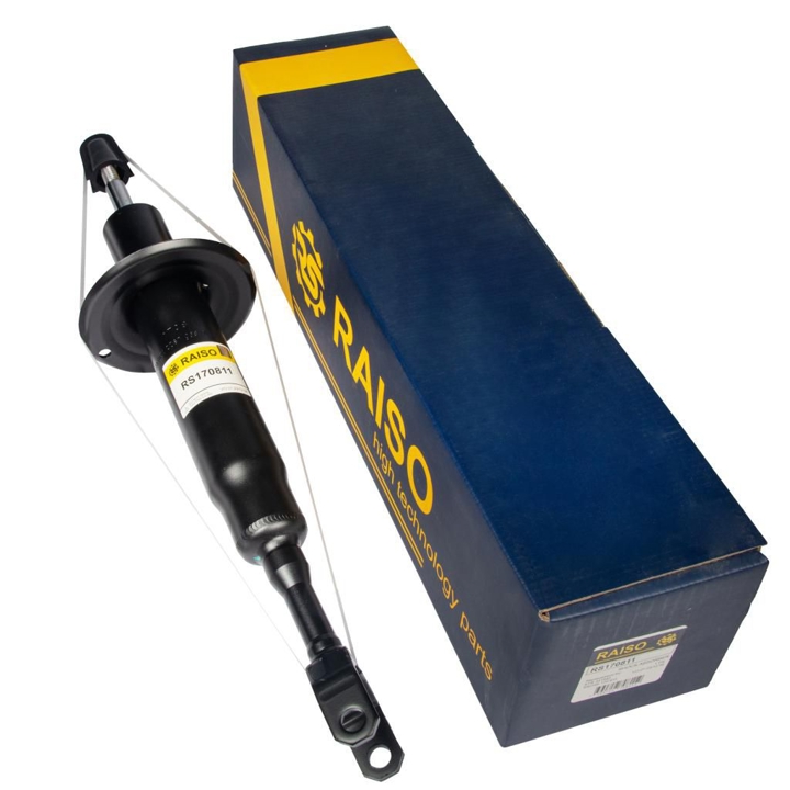 Купити RAISO RS170811 за низькою ціною в Україні!