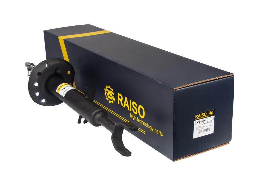 Купити RAISO RS316997 за низькою ціною в Україні!