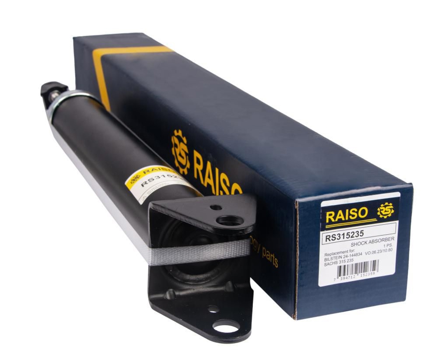 Купити RAISO RS315235 за низькою ціною в Україні!