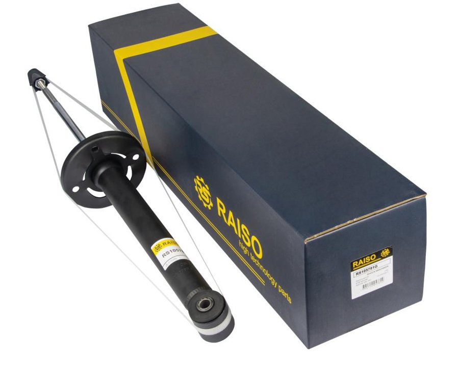 Купити RAISO RS105781G за низькою ціною в Україні!