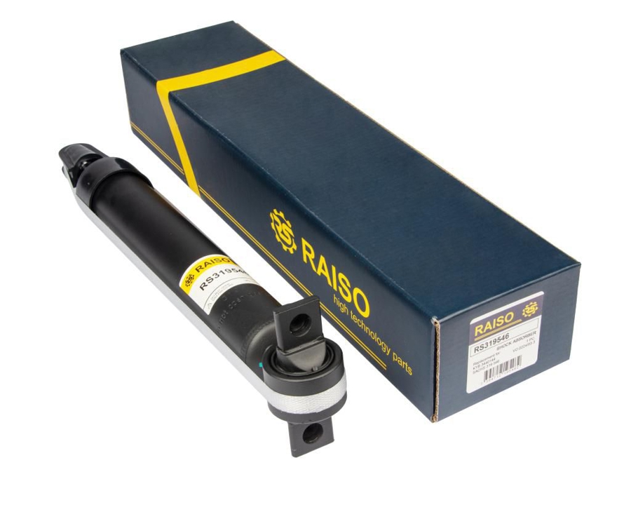 Купить RAISO RS319546 по низкой цене в Украине!
