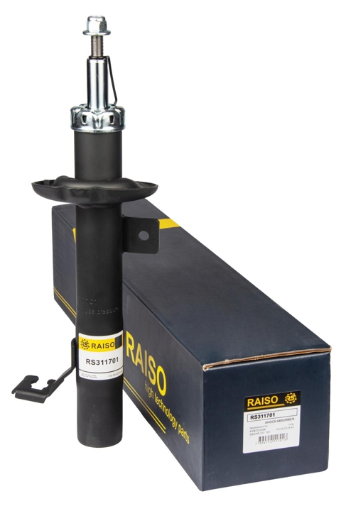 Купити RAISO RS311701 за низькою ціною в Україні!