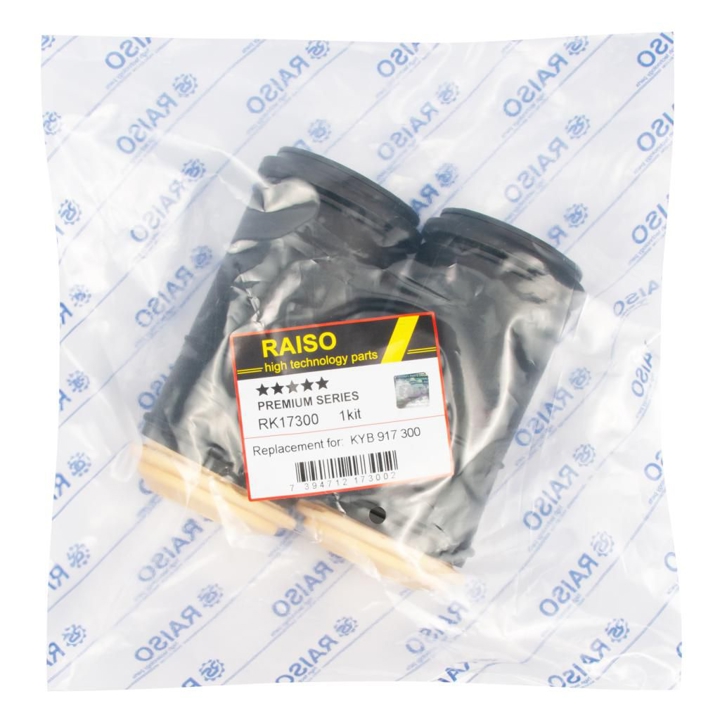 Купити RAISO RK17300 за низькою ціною в Україні!