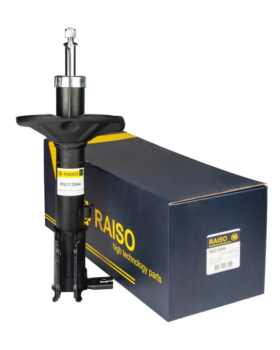 Купити RAISO RS313844 за низькою ціною в Україні!