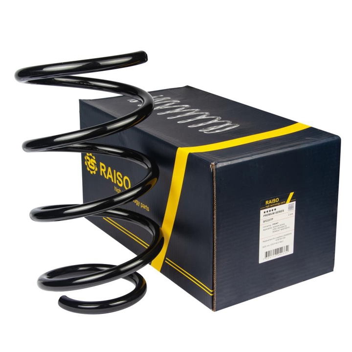Купити RAISO SF233TP за низькою ціною в Україні!