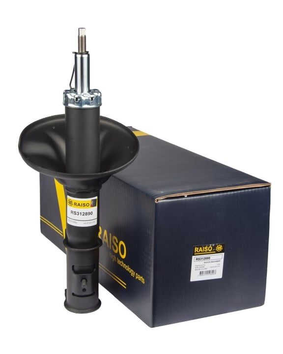 Купити RAISO RS312890 за низькою ціною в Україні!