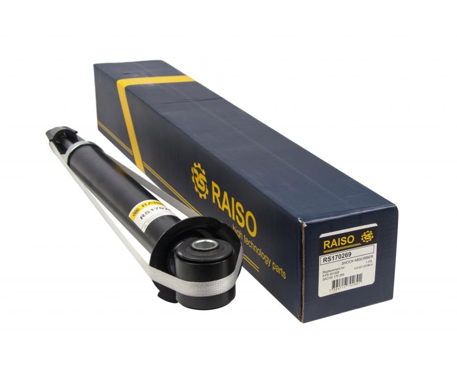 Купити RAISO RS170269 за низькою ціною в Україні!