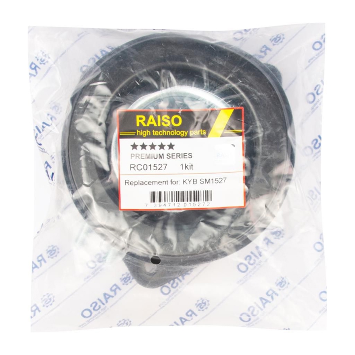 Купити RAISO RC01527 за низькою ціною в Україні!